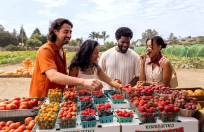 Four people at a farm stand looking at punnets and trying berries