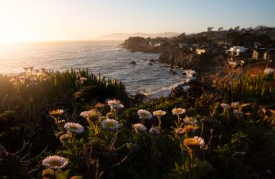 Cambria Shore Overlook