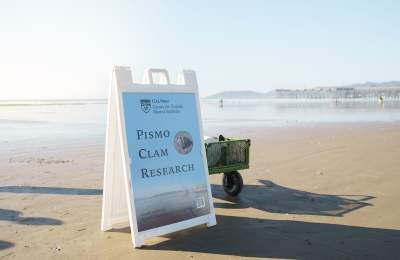 Blue and white Cal Poly Pismo Clam research sign with green wagon behind and the beach in the background