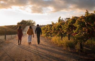 High Camp Wines
