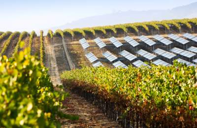 Tolosa Winery Sustainability : Photo Duane Hall