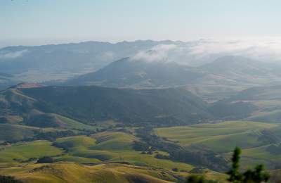 Landscape of green hills and fog