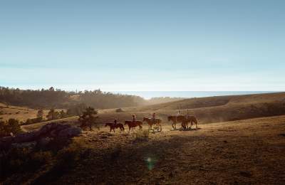 Horseback riding