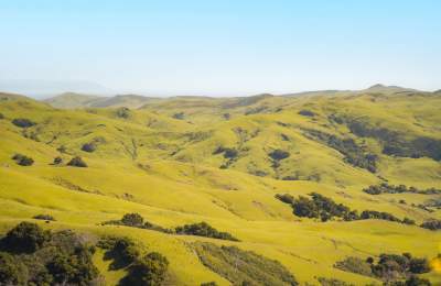 Green rolling hills in SLO CAL