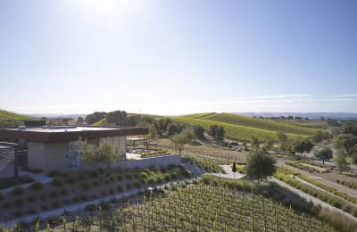 Booker Vineyard