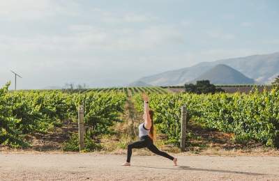 yoga winery
