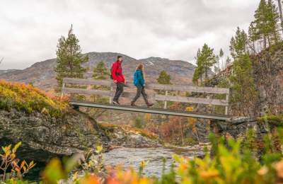 Explore season