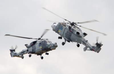 Royal Navy Black Cats