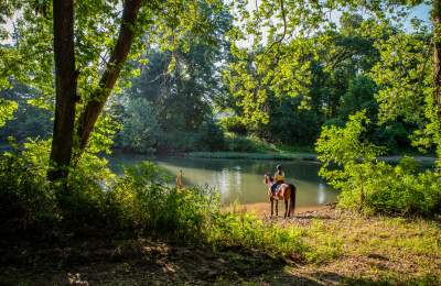 Horseback Riding in Springfield, Missouri