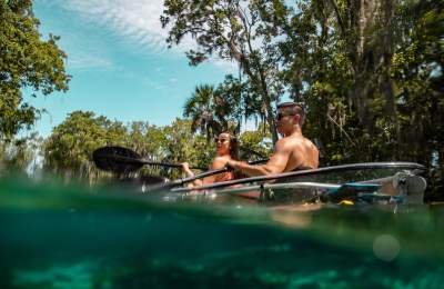 Crystal River Florida Things To Do Attractions In Crystal River Fl