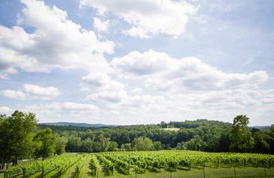 Cana Vineyards and Winery of Middleburg