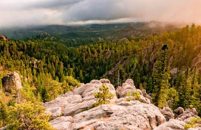 Black Hills National Forest