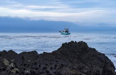 Cambria State Marine Park