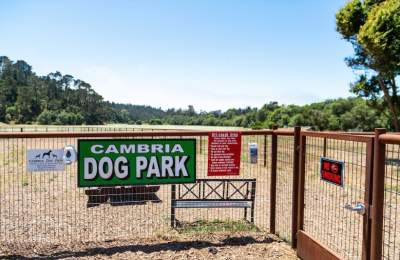 Cambria Dog Park