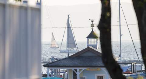 Lake Champlain - Spot on the Dock Summer