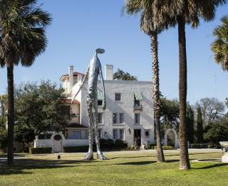 15 Museums Worth Visiting in Austin