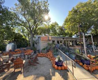 Top Things to Do in Austin This Fall