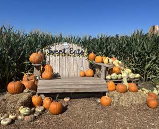 Austin’s Best Pumpkin Patches and Fall Festivals