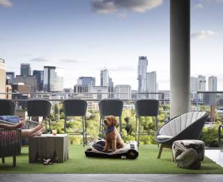Austin's Top Pet-Friendly Hotels