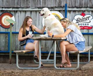 Dog-Friendly Restaurants in Austin