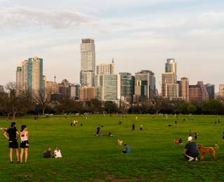 Dog-Friendly Things To Do in Austin