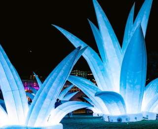 Austin's Creek Show at Waterloo Greenway