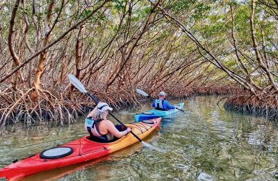 Kayaking the Shell Key Preserve near St Pete Beach with Coastal Kayak Charters.