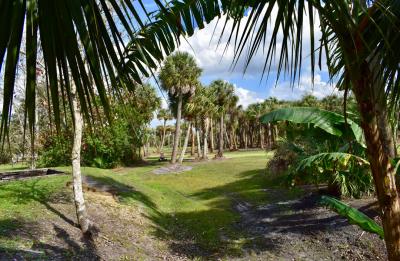 Vero Beach Clay Shooting Grounds with Palms