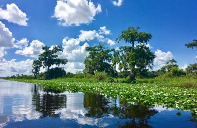 St. Johns River