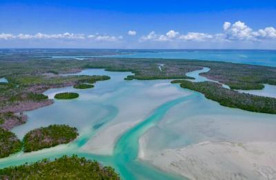 Ten Thousand Islands