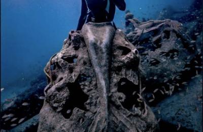 1000 Mermaids Under Water Selfie Tail (Come dive our site!)