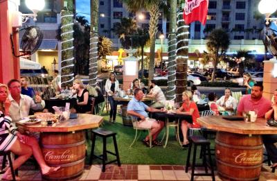 Pet-Friendly Outdoor Courtyard