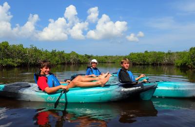 Mangrove Maze Kayak Eco Tour