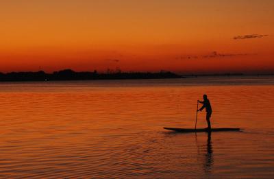Paddleboard SWFL