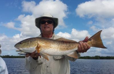 redfish