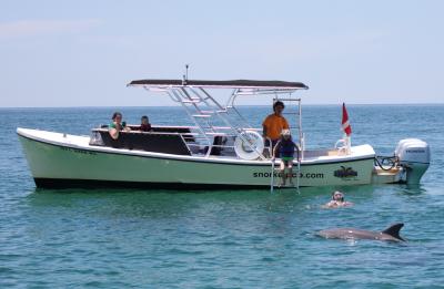 Flippers Dolphins & Snorkeling Tours