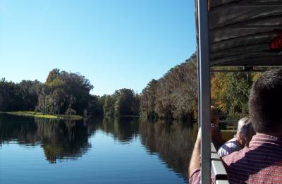 View of the Withlachoochee River from our tour boat