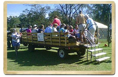 Rocky Comfort Farm