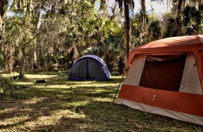 Private Campground near Myakka Florida