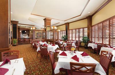The Vista Bistro - Italian Eatery