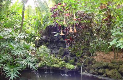 Waterfall in the Gardens