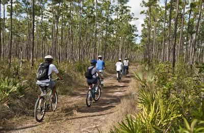 Everglades Pineland Bike & Hike