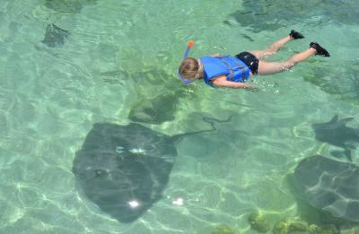 Stingray Bay Snorkel