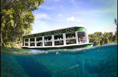 Glass Bottom Boat at Silver Springs