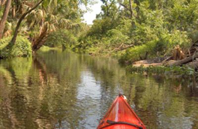 Seminole State Forest Black Water Creek paddling