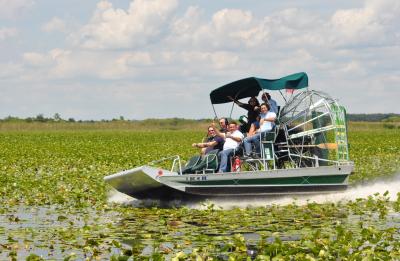 Flying through the beauty of the swamp.