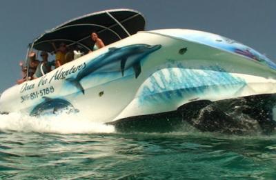 The Ocean Vue Adventure Glass Bottom Boat and Snorkel Tour