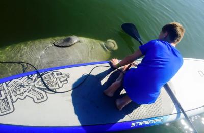 Photos Included on our Manatee Tours!