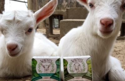 Goat Babies and Goat Milk Soap embody the spirit of our Farm