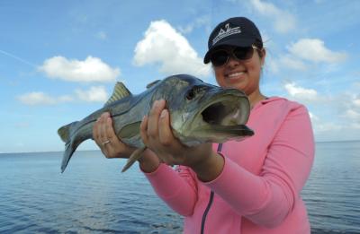 Tampa Bay Snook